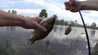 crucian carp fishing on a donk