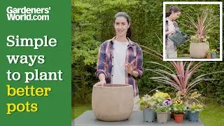Plant up a container with REAL IMPACT with these easy hacks for better pot displays