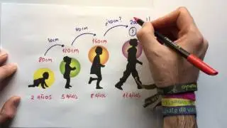 TEMA 6: La Proporcionalidad