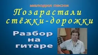 Позарастали стёжки-дорожки. Разбор на гитаре мелодии этой песни