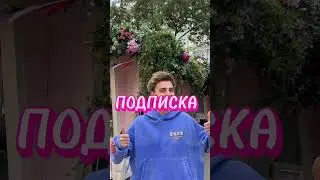 С КЕМ ПРОВЕДЕШЬ 24 ЧАСА?? #влада4 #владбумага #глент #чикенган