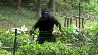 GARDENER'S DISTURBING BIGFOOT VIDEO