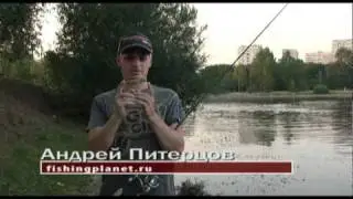 Megabass Vision 95. Энциклопедия воблеров на видео