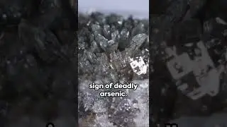 Deadliest Minerals (stones) on Earth