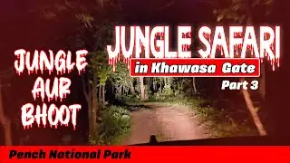 Jungle aur Bhoot | Khawasa Night Safari | Pench National Park 