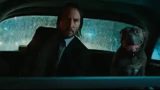 Tic Toc, Mr Wick, Tic Toc