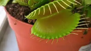 Sex best videos metdsssged Bsyegb #Ddacsl #Necsvdg. #News(2)