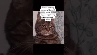 #качество