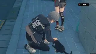 You can pet the cat in ZZZ!