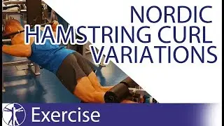 Nordic Hamstring Curl Variations | Hamstring Training