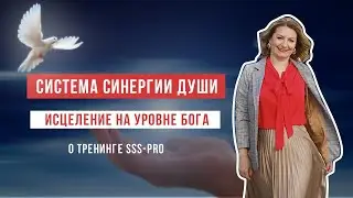 Система Синергии Души, новый инструмент