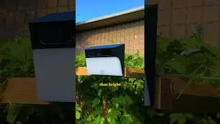 Best Backyard Security Solution?