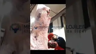 High quality slaughterhouse design .
