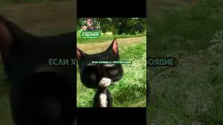 Актер кино учится просить хавчика