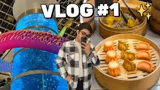 VLOG#1: Visiting the biggest mall of Russia.