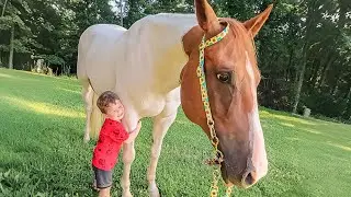 When A Little Boy Meets a Giant Horse…  A Beautiful Friendship Begins