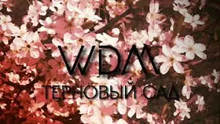 FACE - Назад ( Терновый Сад) cover