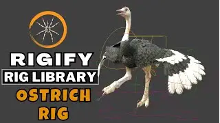 Create A Ostrich Rig with Rigify : Rig Library in Blender | Rigify Ostrich Rig