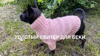 СВИТЕР ИЗ ТОЛСТОЙ ПРЯЖИ ДЛЯ НАШЕЙ СОБАКИ. НОВАЯ ПРЯЖА ДЛЯ МЕНЯ