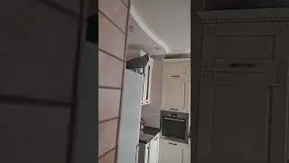 ✅ Ух ты какая 🤣 ЖАКО ПЕТРУНЯ 🐦FUNNY PARROT ZHAKO PETRUNYA 🔥 
