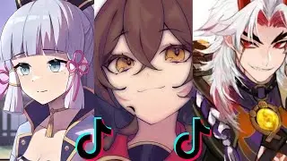 Genshin Impact TikTok Compilation 