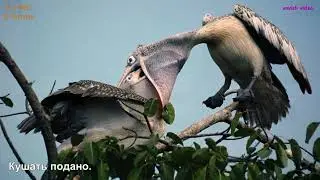 Слайд-шоу моих фотографий из проекта группы 