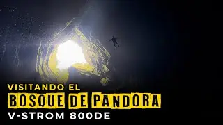 Conociendo el ⛰️AVATAR COLOMBIANO⛰️ el Bosque de pandora en ⚡V-strom 800 DE⚡
