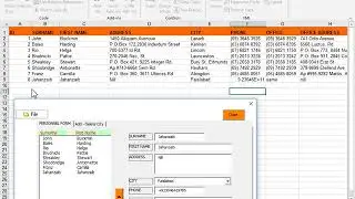 Advance Data Entry Form