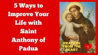 5 Ways to Improve Your Life w/Saint Anthony of Padua  #SaintAnthonyOfPadua #DevotionToSaintAnthony