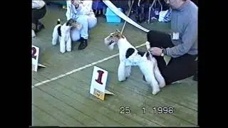 25 01 1998   Выставка охотничьих собак им. Собонеева (ЦСК) - Лурдис