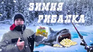 Чи варто ходити на ЗИМОВУ РИБОЛОВЛЮ?