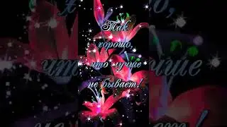 #shorts #спокойнойночи #доброговечера
