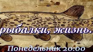 Прямой эфир по понедельникам