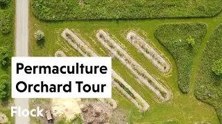 Tour Our PERMACULTURE ORCHARD — Ep. 260