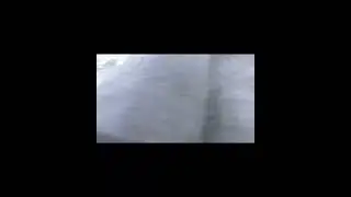 Ядовитый ПАУК