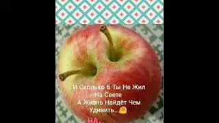 ЧУДЕСА ПРИРОДЫ https://youtube.com/channel/UCFb_81VZkl4o1KKyHW75emg