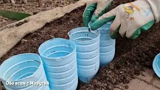БОРДЮР ИЗ ПЛАСТИКОВЫХ БУТЫЛОК МИНИ ЗАБОР ДЛЯ ГРЯДОК ЦВЕТНИКОВ/РАБОТАЕТ ГОДАМИ