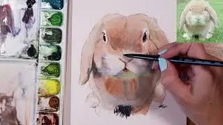 How to Paint a Lop Eared Rabbit in Watercolor Real Time Tutorial