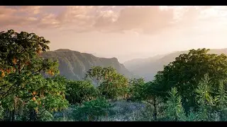 SIMIEN