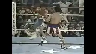 Wilfredo Gomez - Salvador Sanchez