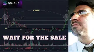 Solana: Missed Buying Cheap SOL? No Worries. Be Patient.