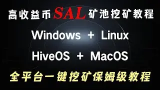高收益幣 SALVIUM (SAL) 礦池挖礦教程，Windows + Linux + HiveOS + MacOS，全平台一鍵挖礦保姆級教程