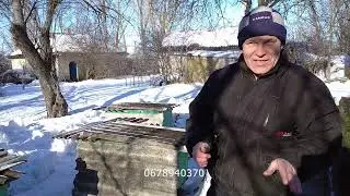 Зимовка пчел карника на нашей пасеке и реклама!