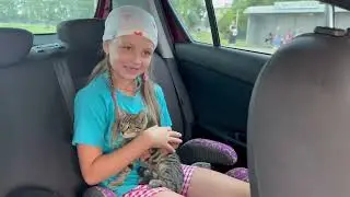 Подарили жизнь бездомную котенку🥰 посетили особняк Небылица‼️