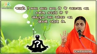 જાણો ! ક્યાં ચાર ફળ છે જે આત્મા ના  દર્શન કરાવે છે ?... સદ્દગુરુ આ અંતર ના ભેદ ખોલે છે.