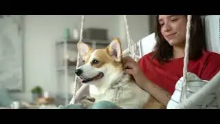 Institucional  - Brazilian Pet Foods -  2022