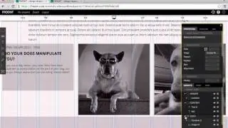 Layout: Nested grid