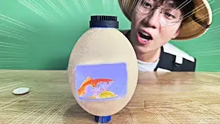 타조알 어항 만들기!