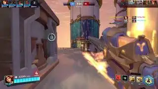 Paladins
