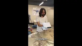 3D Scanning Teen Rex